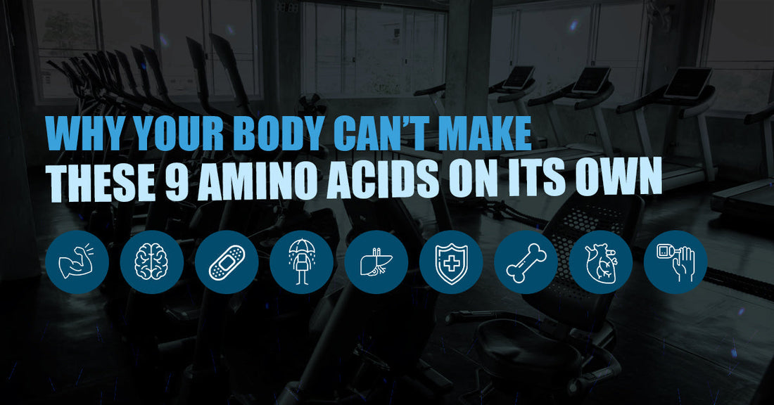 Why Your Body Can’t Make These 9 Amino Acids On Its Own?